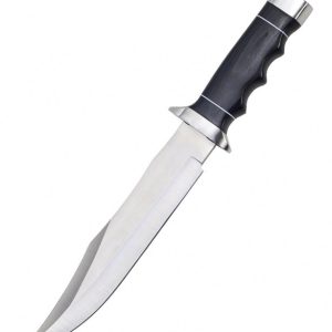 Outlaw Bowie